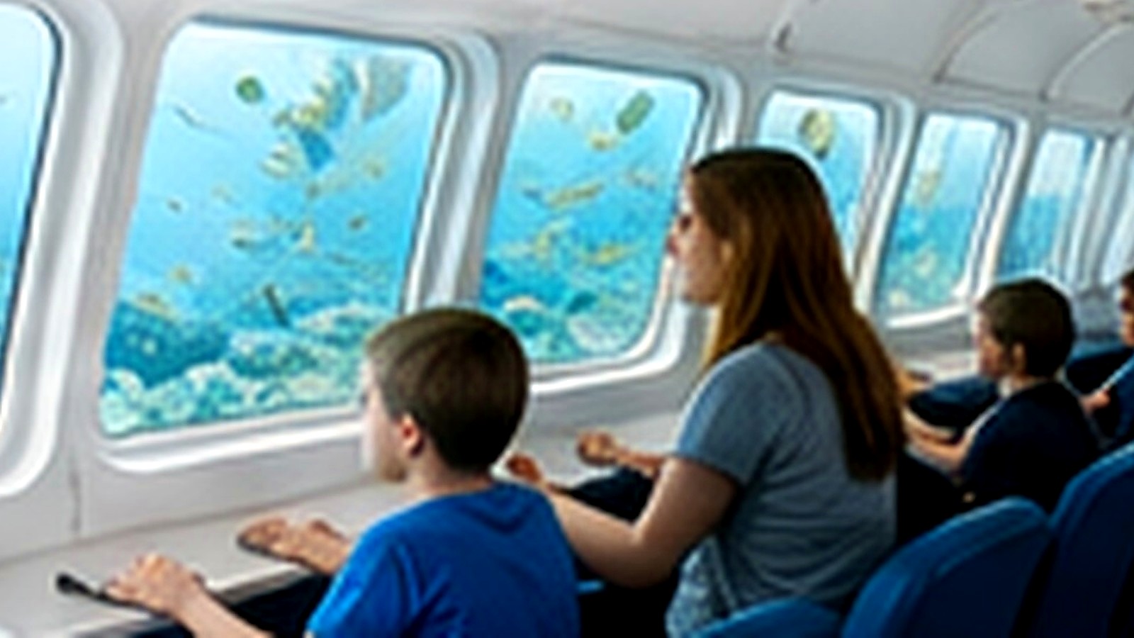 Semi Submarine Reef Viewing Trip